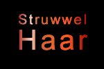 Eine Animation des Salonnamens StruwwelHaar als Logo
